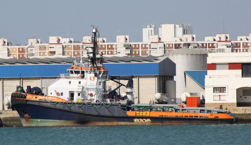 MSC OCEAN ONE