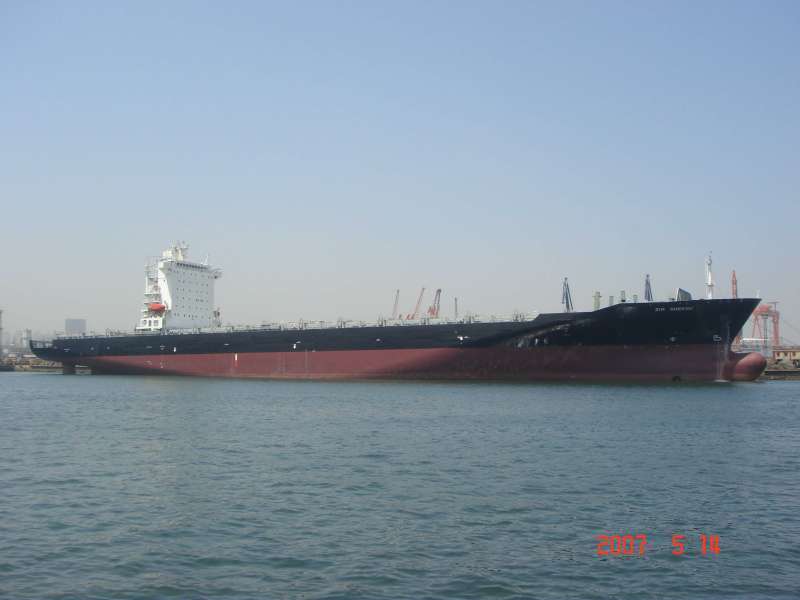 SHEKOU STAR