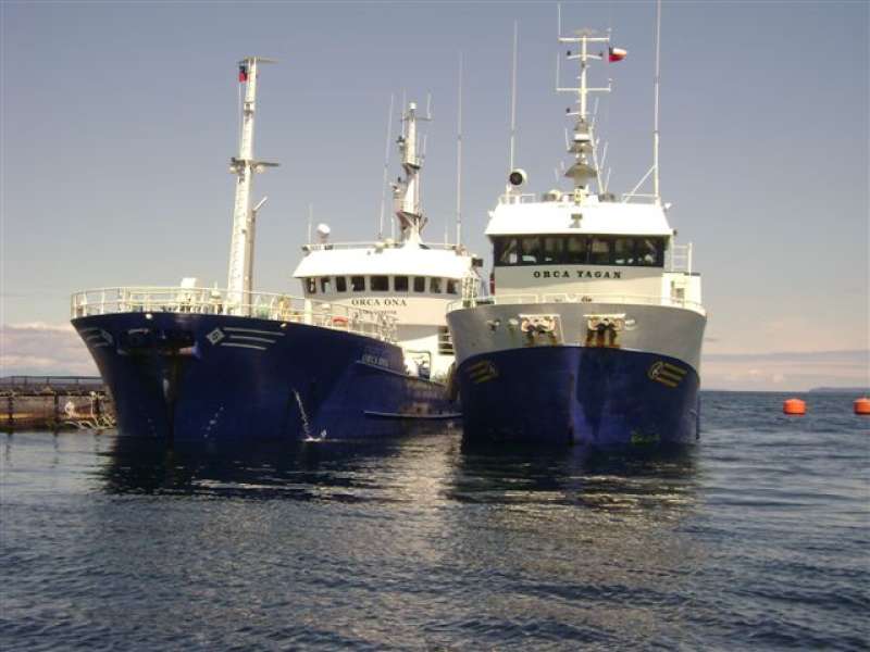 ORCA YAGAN
