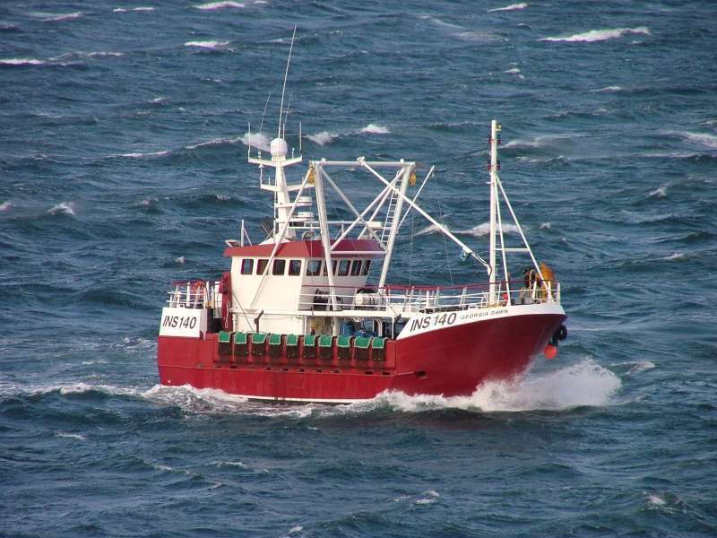 GEORGIA DAWN  INS140