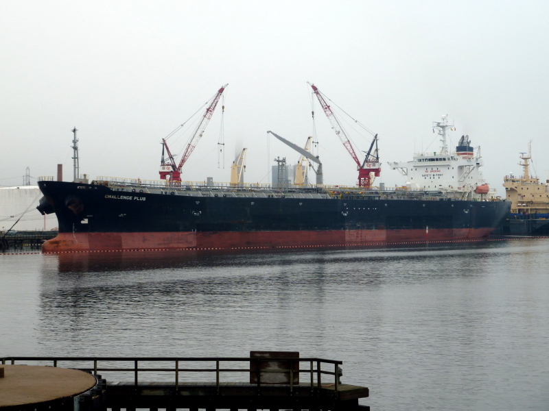 MINERVA PACIFICA
