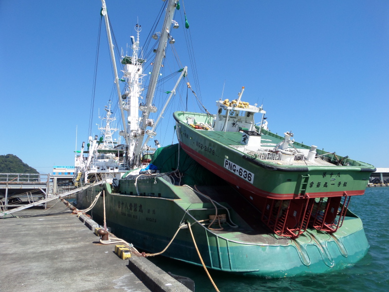HAKKO MARU 2