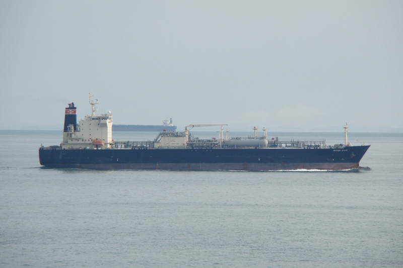 SHEN MI