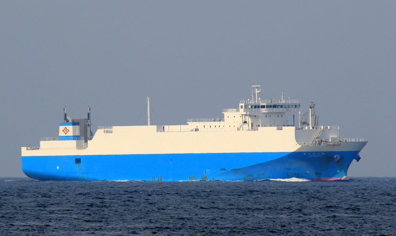 DHARMA RUCITRA 8