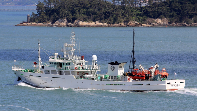 MUGUNGHWA29
