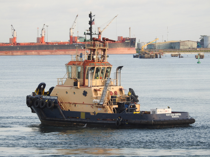SVITZER CESTOS