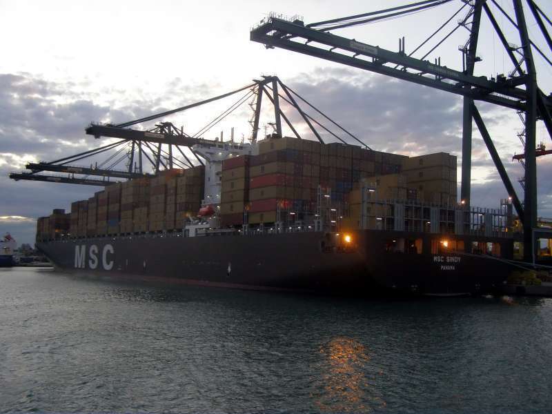 MSC SINDY