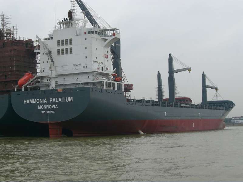 MSC PALATIUM III