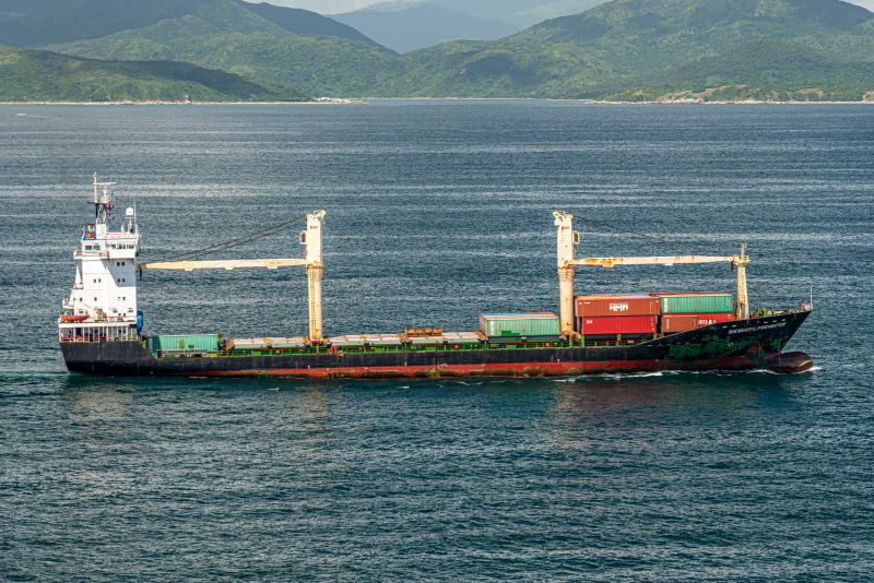 Image of BIENDONG FREIGHTER