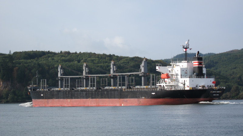 LONGVIEW LOGGER