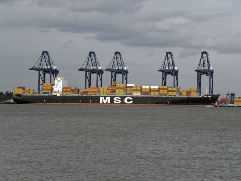 Image of MSC PINA