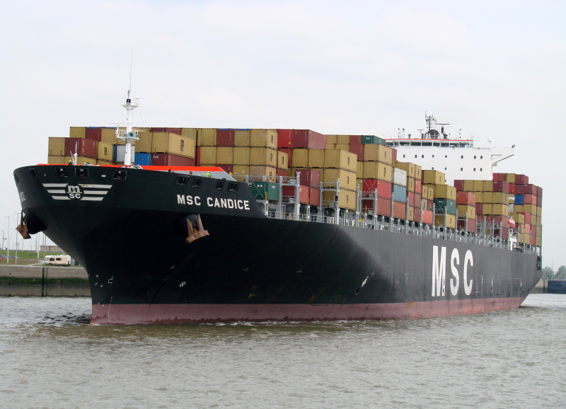 Image of MSC CANDICE