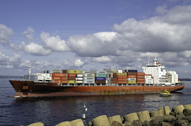 MSC ALDI III