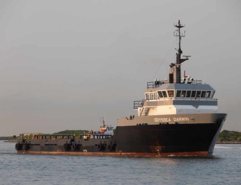 ODYSSEA DARWIN