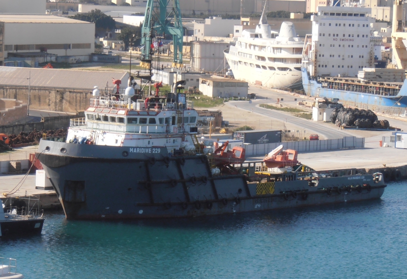 MARIDIVE229
