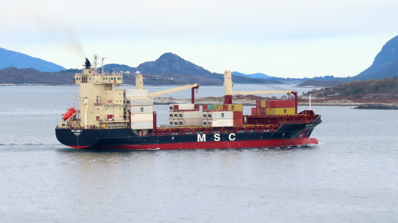 Image of MSC ANNE F