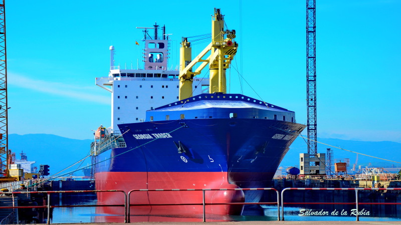 MSC GEORGIA II