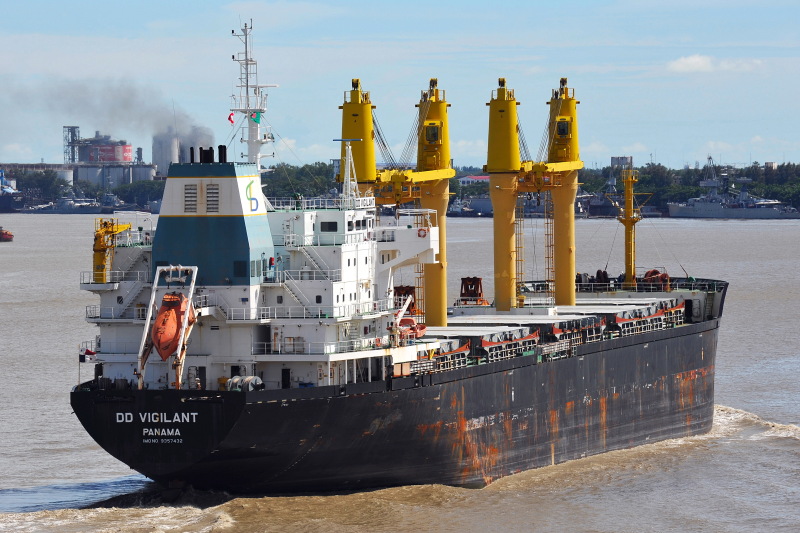 DD VIGILANT