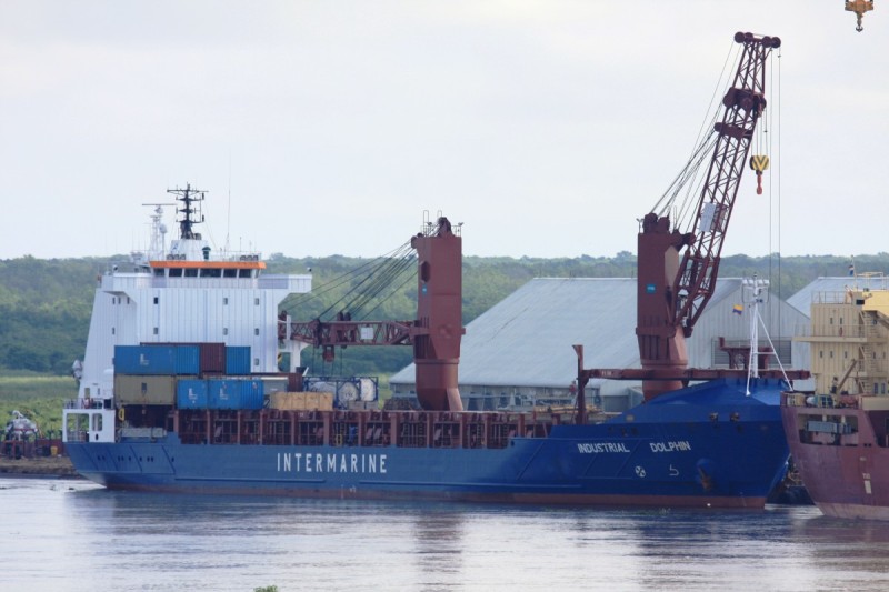 INDUSTRIAL DOLPHIN