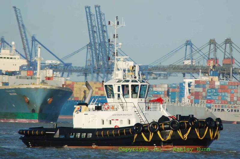 SVITZER SHOTLEY