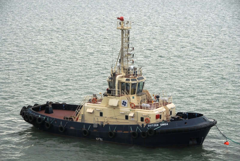 SVITZER GINGA
