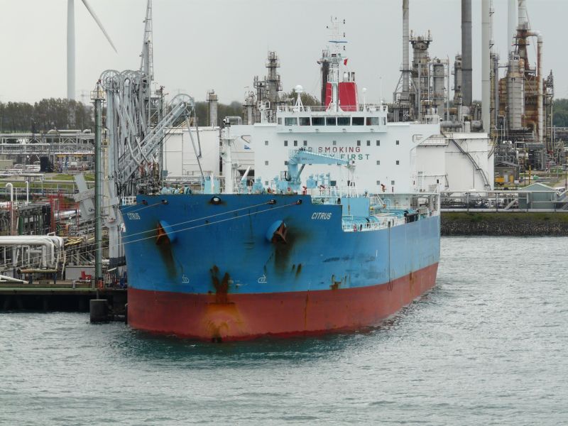 SEA LA BELLE