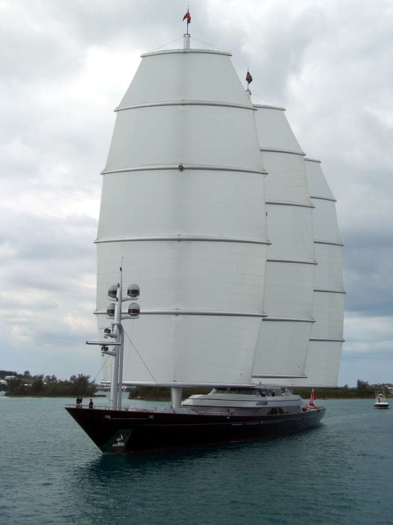 MALTESE FALCON