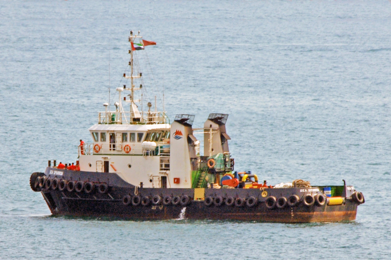 SEA SPARROW