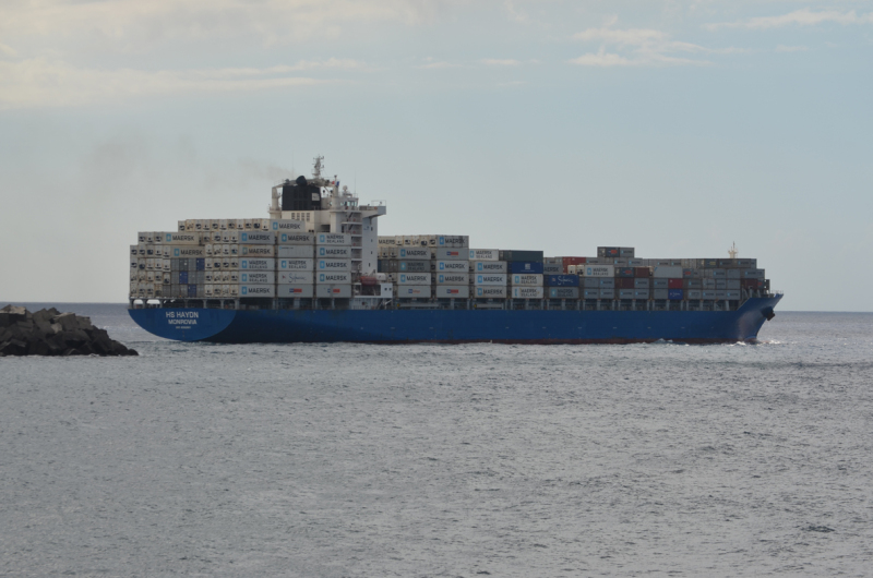 MSC SHANVI III