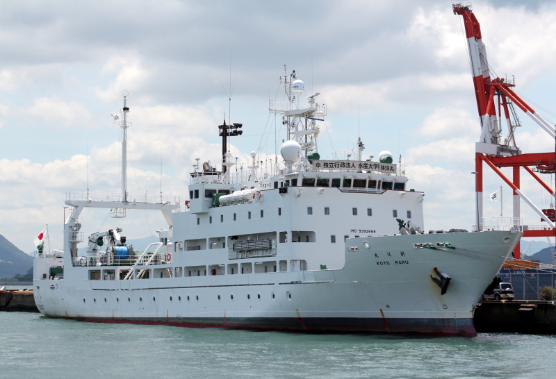 Image of KOYO MARU