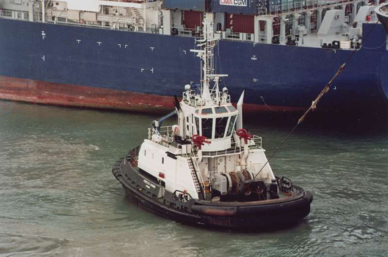 Image of PORTO DI LIVORNO