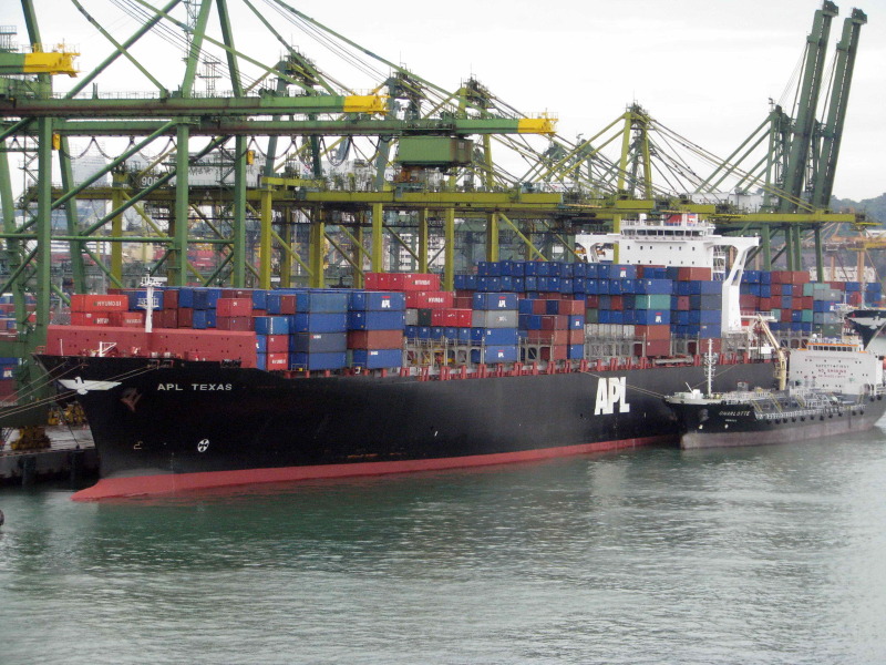 Image of MSC NOA