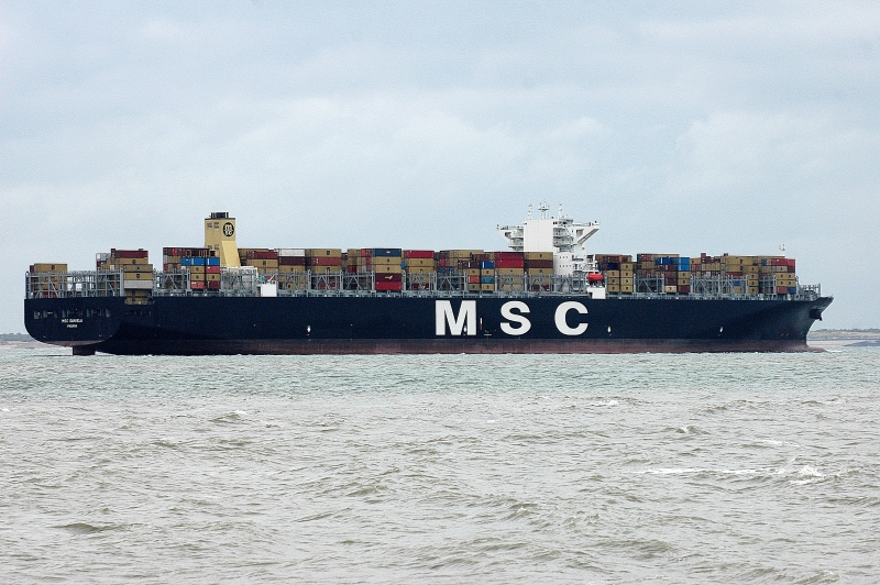 Image of MSC DANIELA