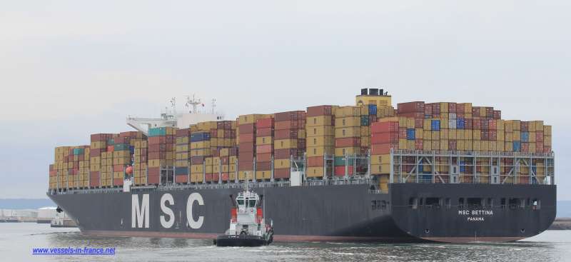 Image of MSC BETTINA