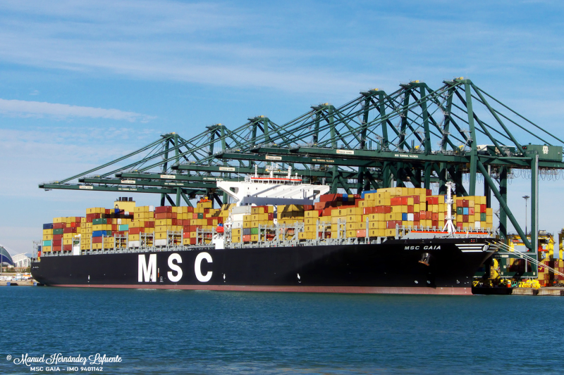 MSC GAIA