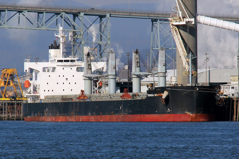 DENSA DOLPHIN
