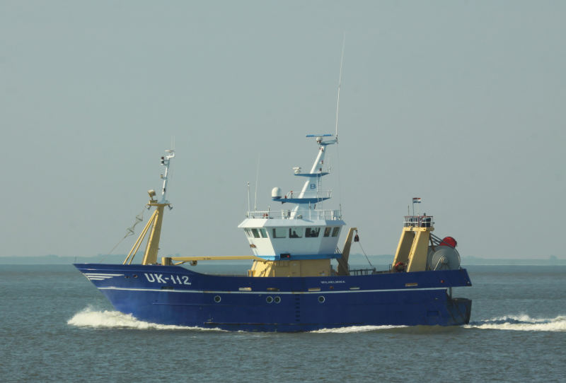 UK112 WILHELMINA
