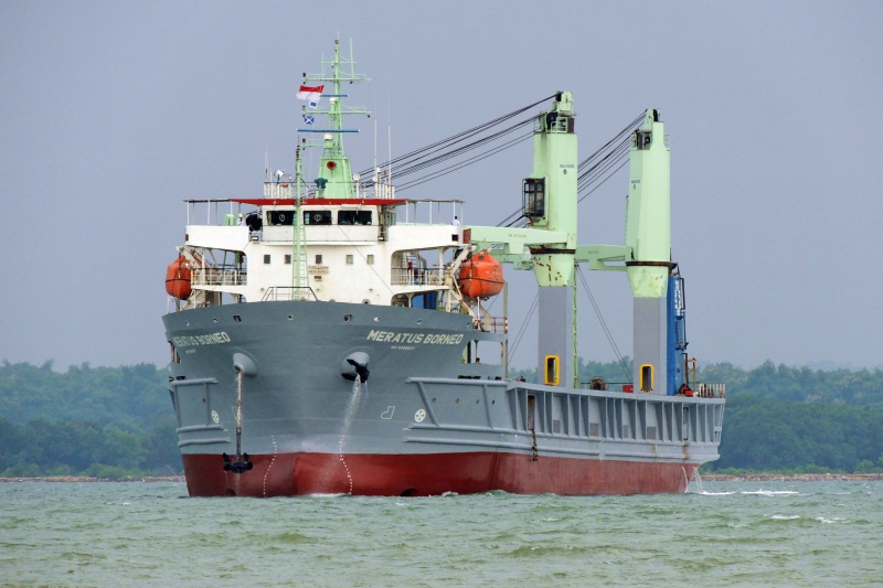 MERATUS BORNEO