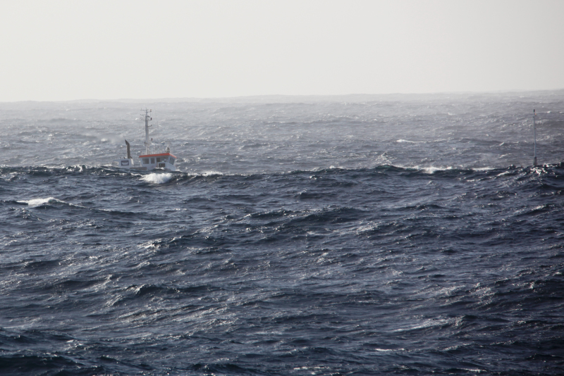 WILSON DIEPPE