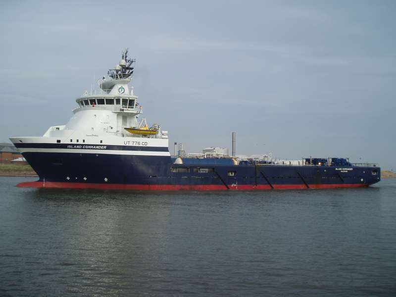 POSIDONIA LION