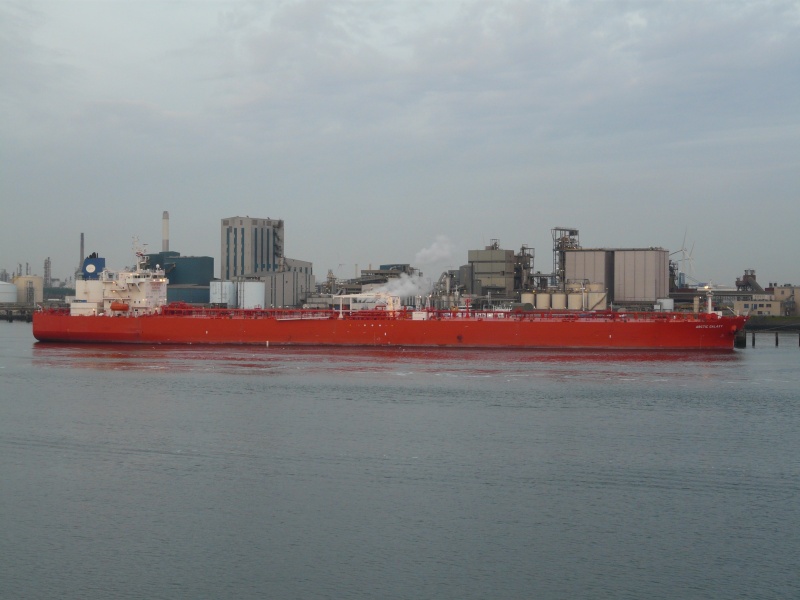MINERVA PISCES
