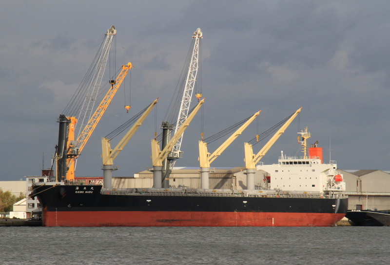 V NOBLE Dry bulk / Supramax