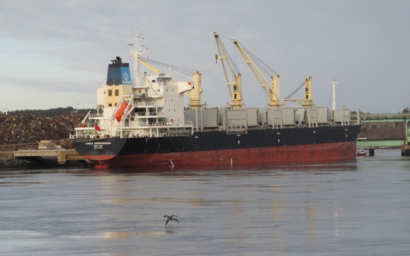 COSCO JINGGANGSHAN