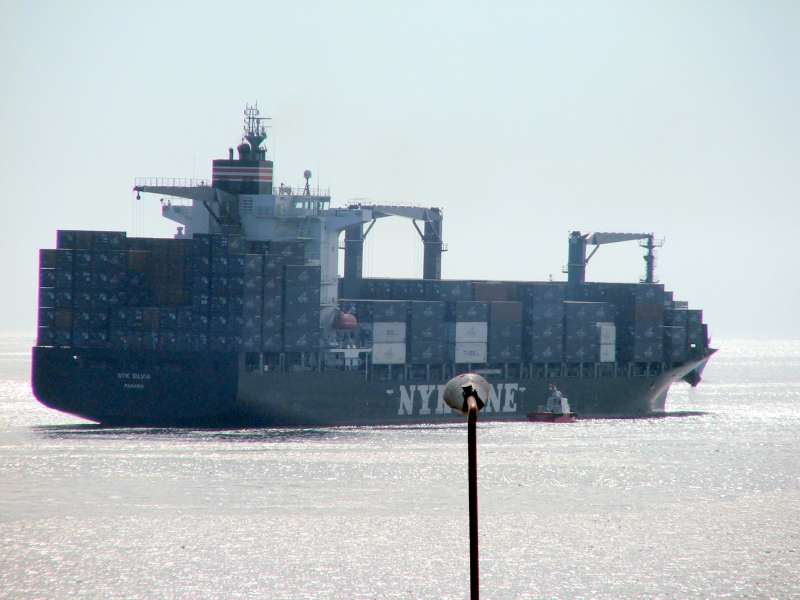 Image of NYK SILVIA