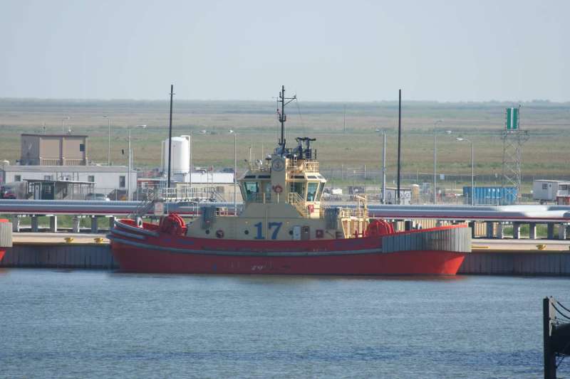 SP IVORY