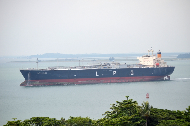 APOLLO OCEAN