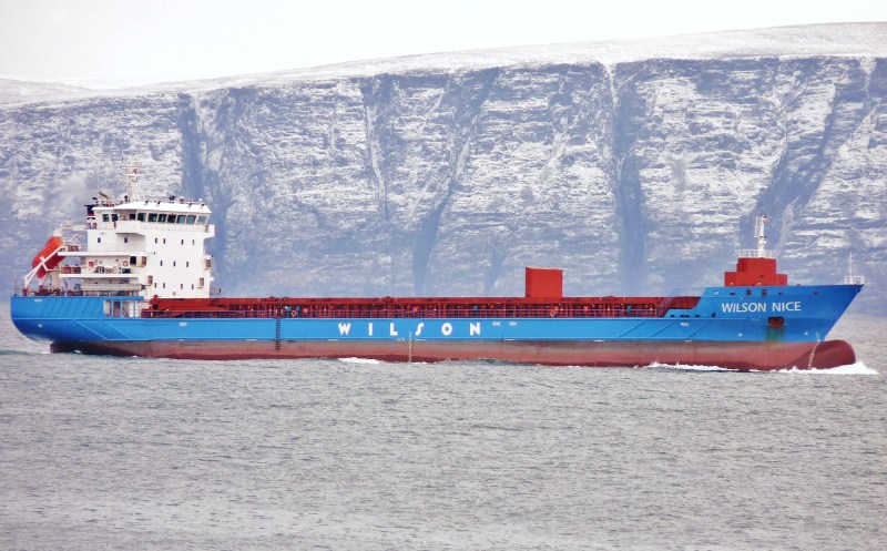 Image of WILSON NICE