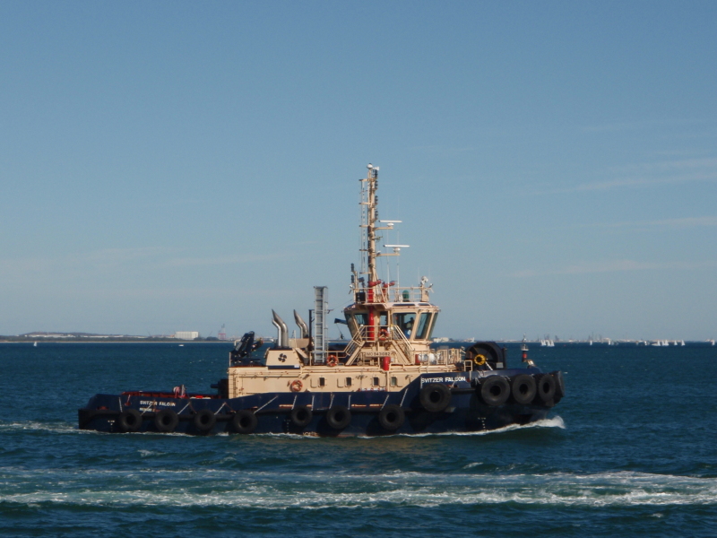 SVITZER FALCON