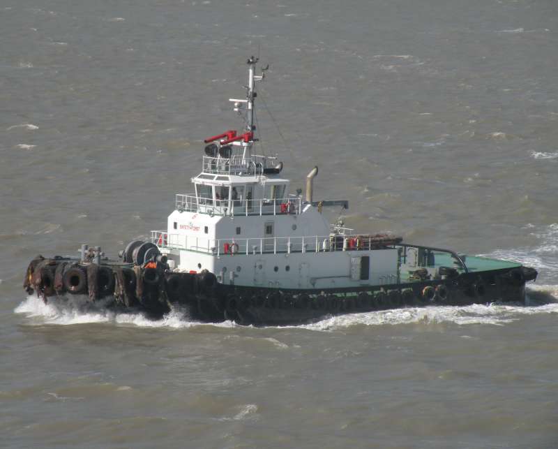 DOLPHIN  NO.6