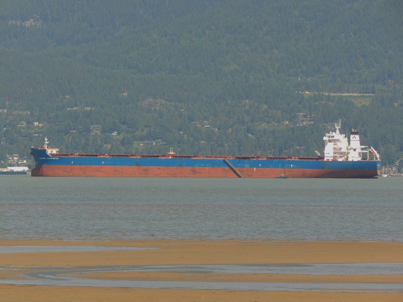 MARAN TRANSPORTER